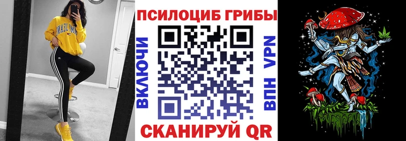 где можно купить   Озёры  Псилоцибиновые грибы мицелий 